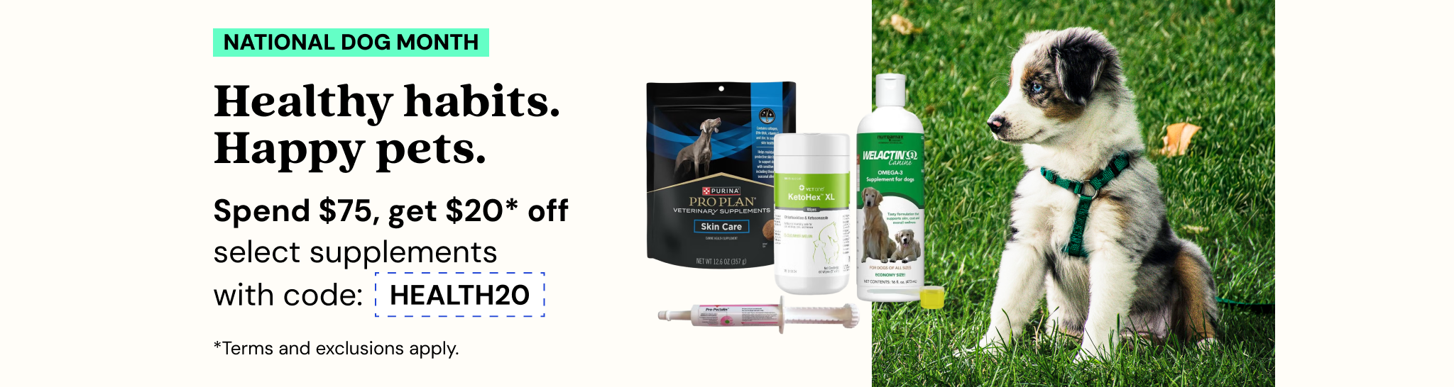 Promotions - Deals