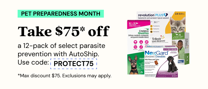 Promotions - Deals