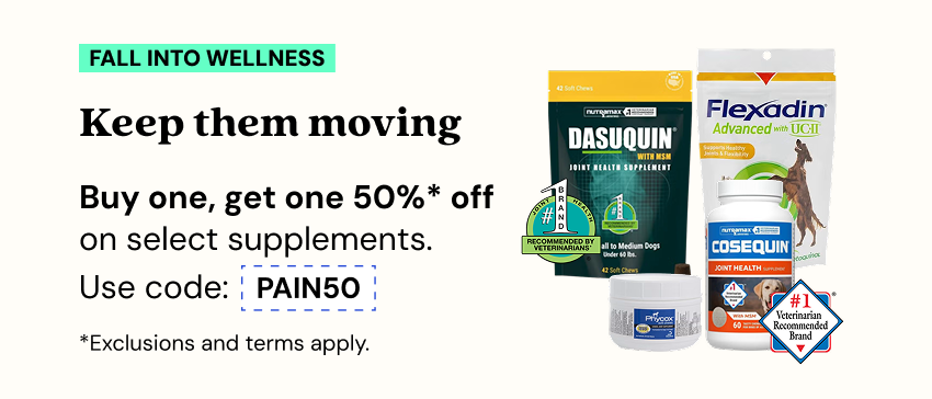 Promotions - Deals