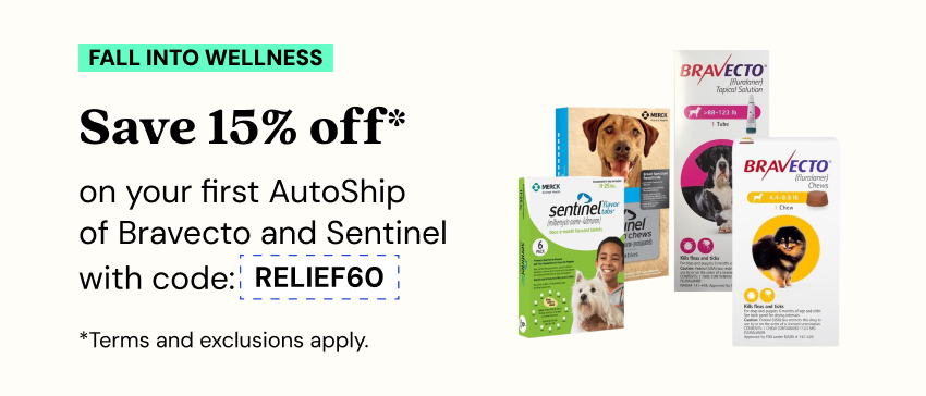 Don't miss this: Take 15% off Bravecto or Sentinel