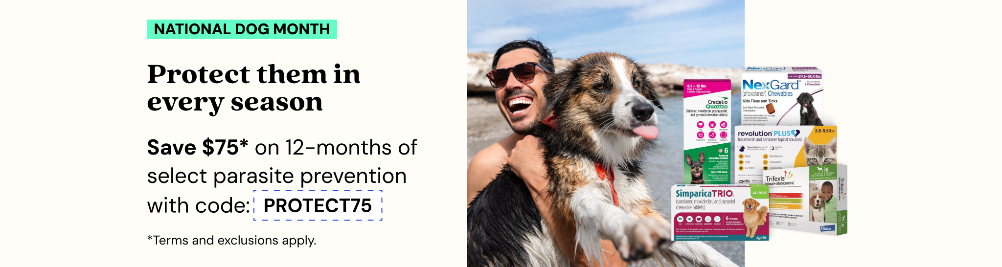 Promotions - Deals