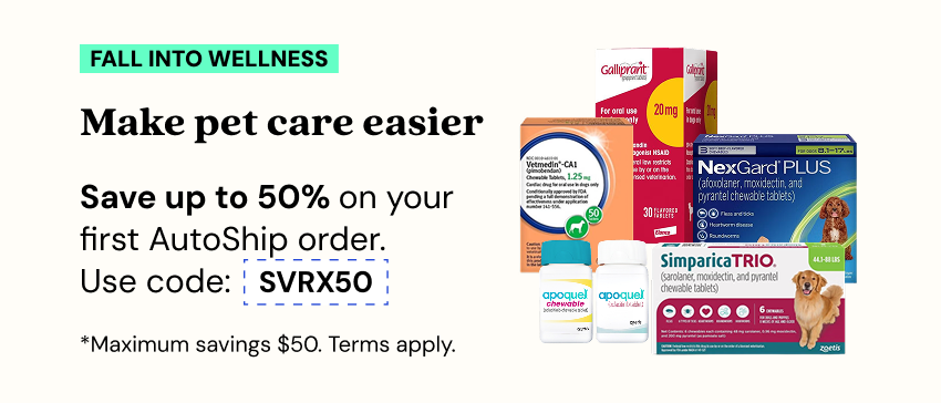 Promotions - Deals