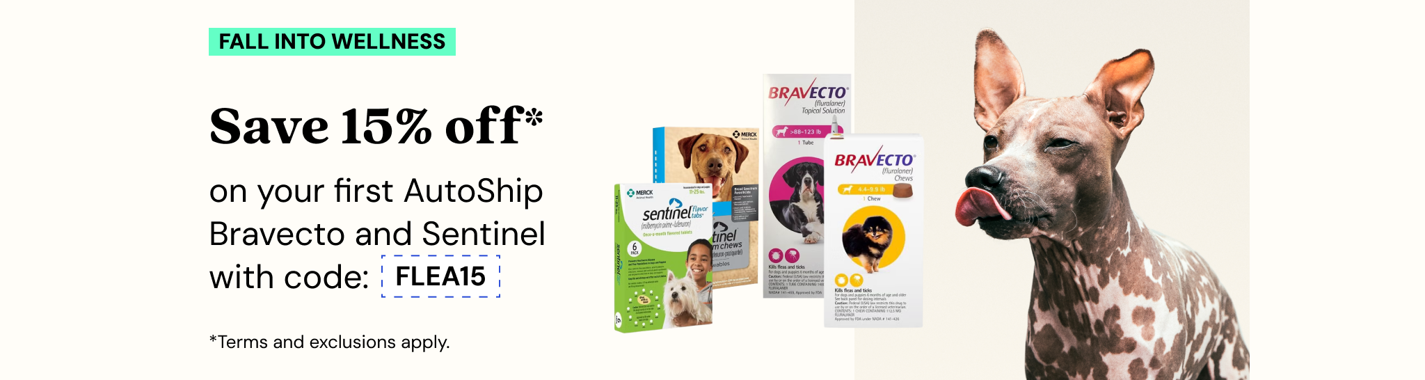 Don't miss this: Take 15% off Bravecto or Sentinel