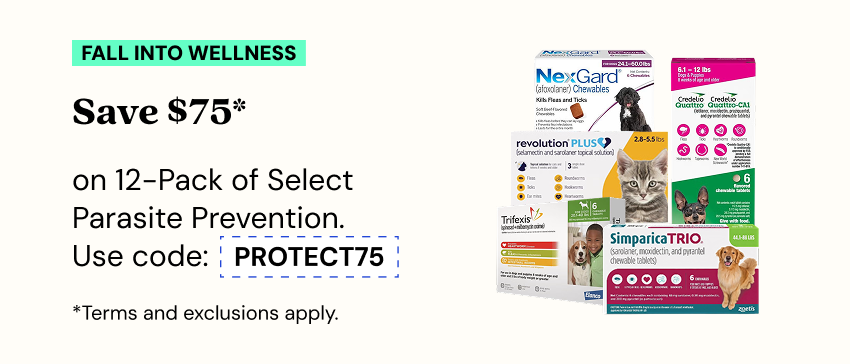 Promotions - Deals