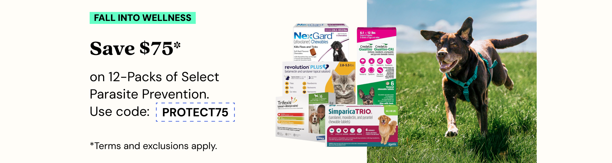 Promotions - Deals