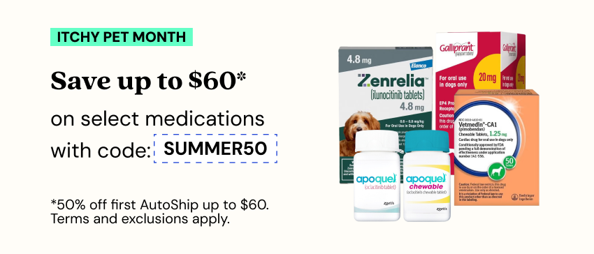 Promotions - Deals