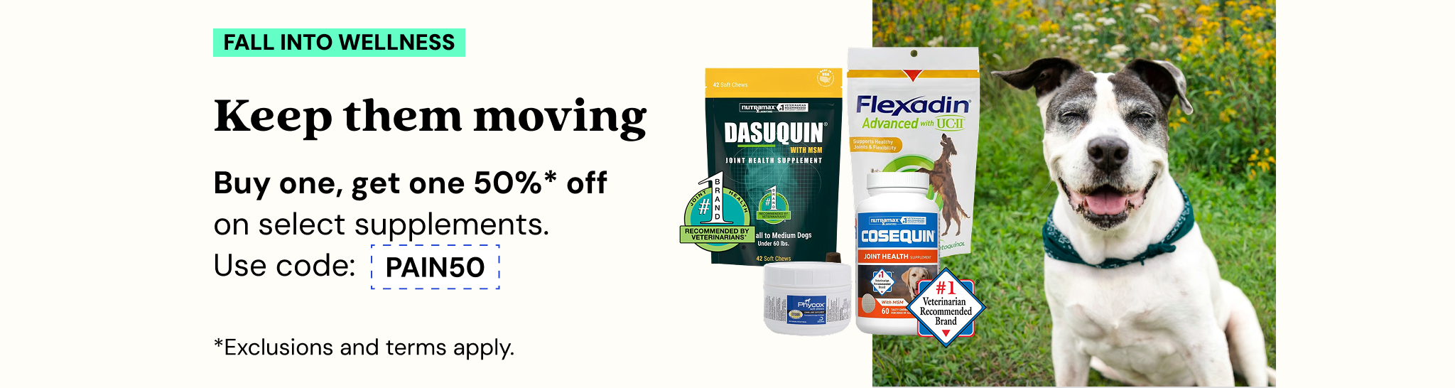 Promotions - Deals