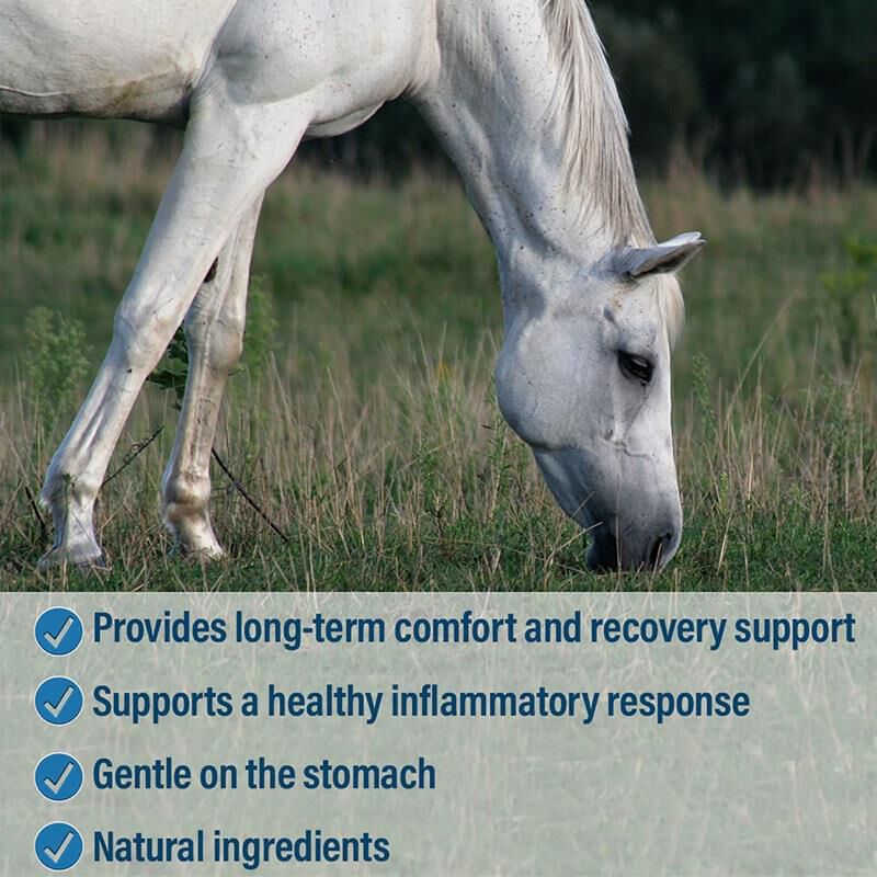 Absorbine Bute-Less Comfort & Recovery Supplement Pellets