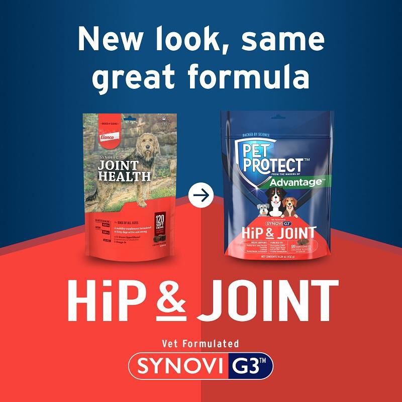 Pet Protect Hip & Joint Synovi G3 Soft Chews for Dogs, 120 Ct.