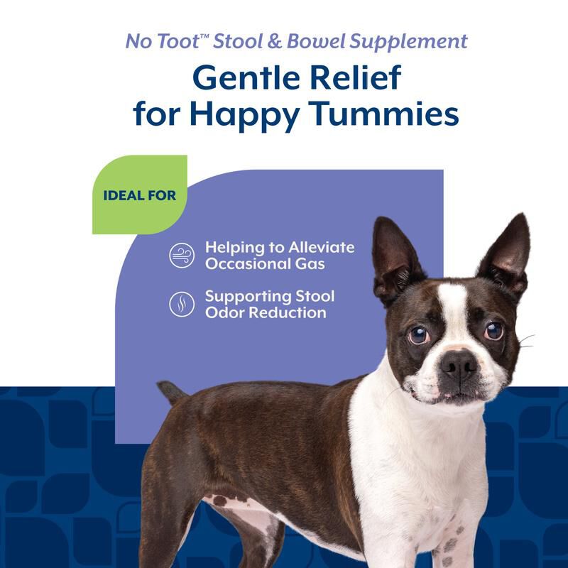 NaturVet No Toot Gas Aid Plus Fennel for Dogs, 70 Soft Chews