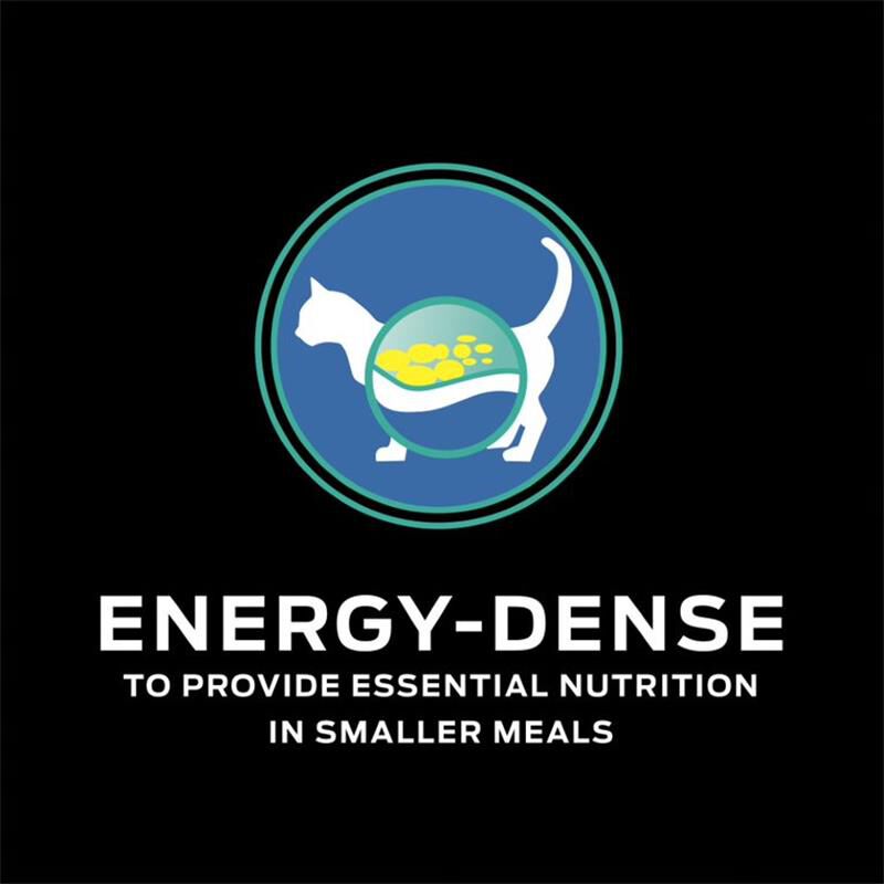 Purina Pro Plan Veterinary Diets EN Gastroenteric Formula Feline Dry Food