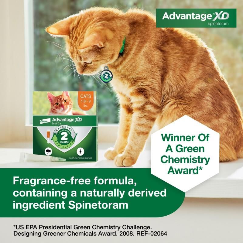 Advantage XD for Cats
