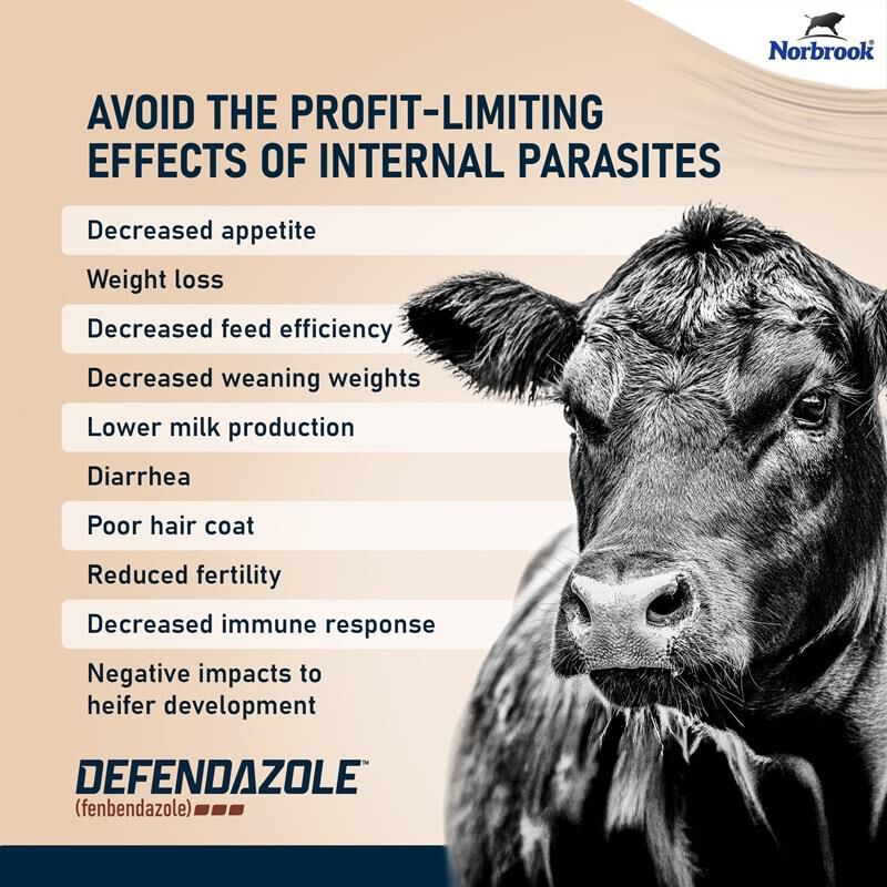 Defendazole (fenbendazole) Suspension 10% Dewormer for Beef & Dairy Cattle and Goats, 1 Liter