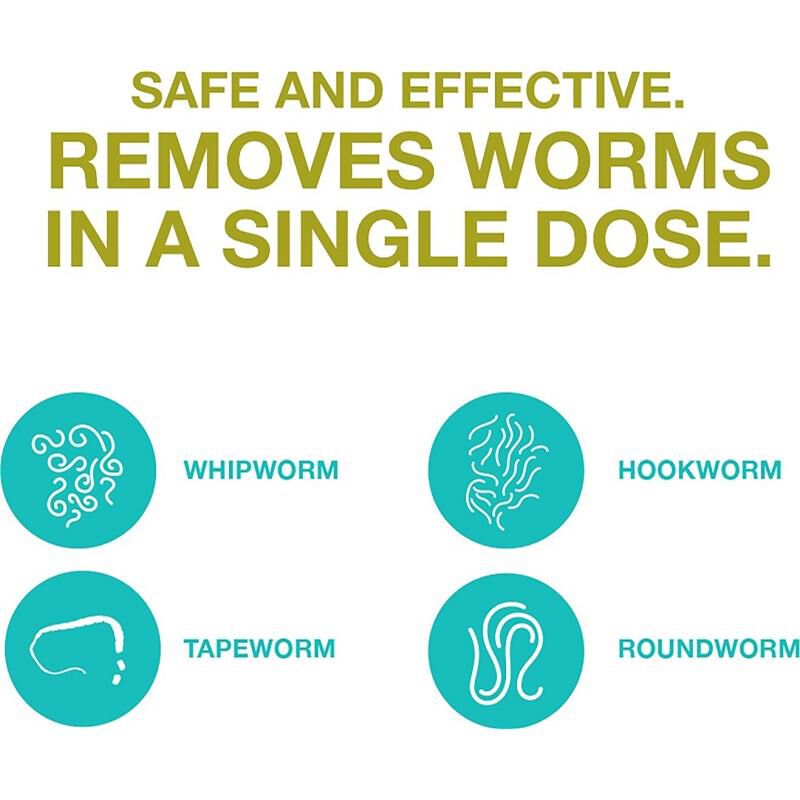 Quad Dewormer Chewable Tablets for Dogs