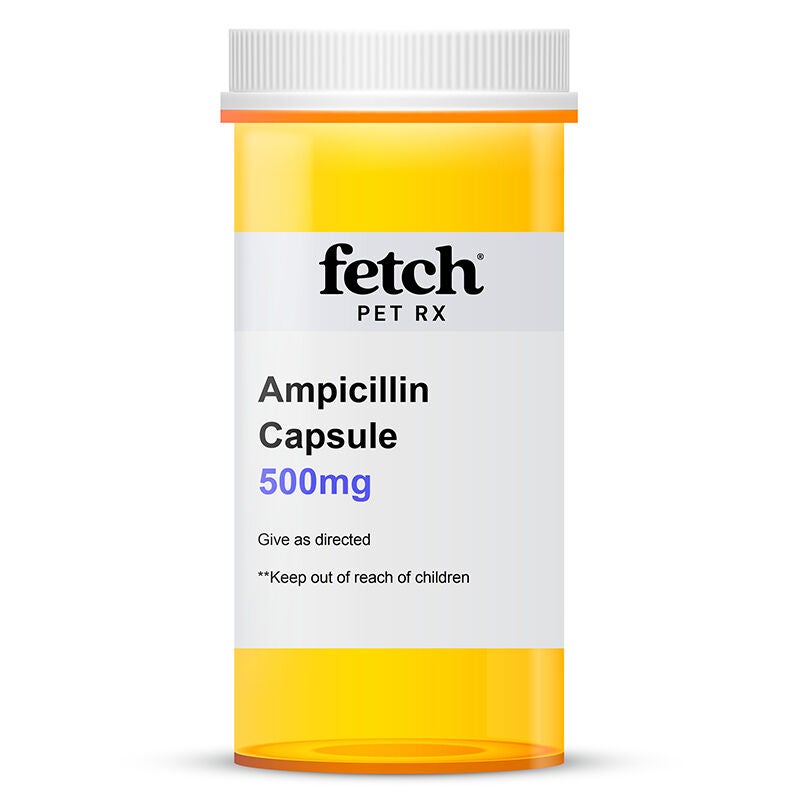 Ampicillin 500 mg Capsule
