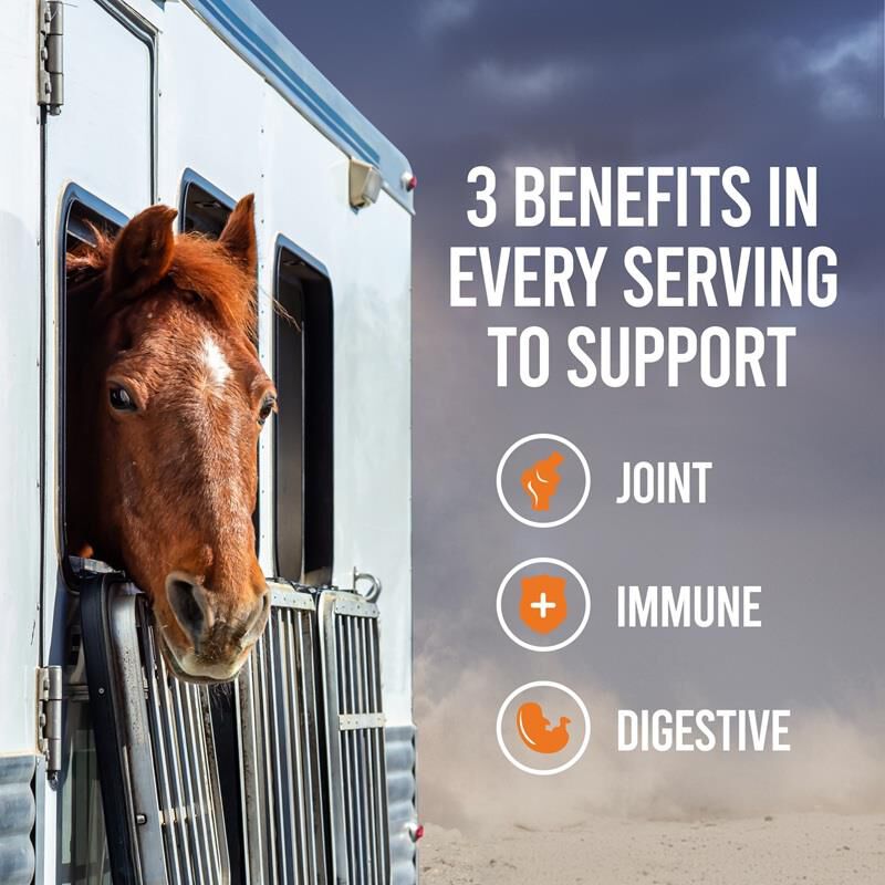 Cosequin ASU Balance Joint, Immune, and Digestive Health Supplement For Horses, 1,200 gm