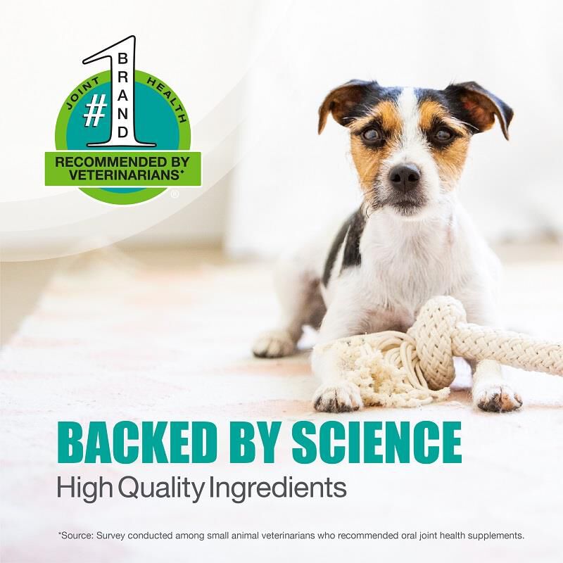 Dasuquin for dogs ingredients online