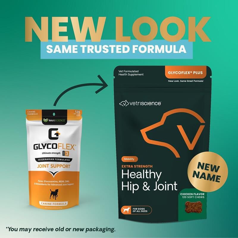 VetriScience Healthy Hip & Joint GlycoFlex Plus Extra Strength Soft Chews for Dogs, 120 Ct.