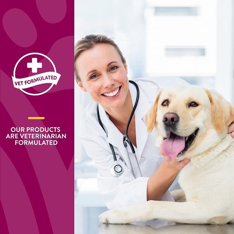 NaturVet Glucosamine DS Plus Level 2 Soft Chews for Dogs and Cats