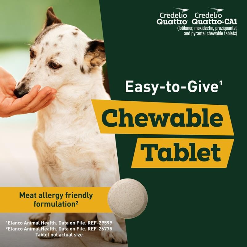 Credelio Quattro Flavored Chewable Tablet for Dogs & Puppies 50.1 - 100 lbs Blue 12 Month Supply