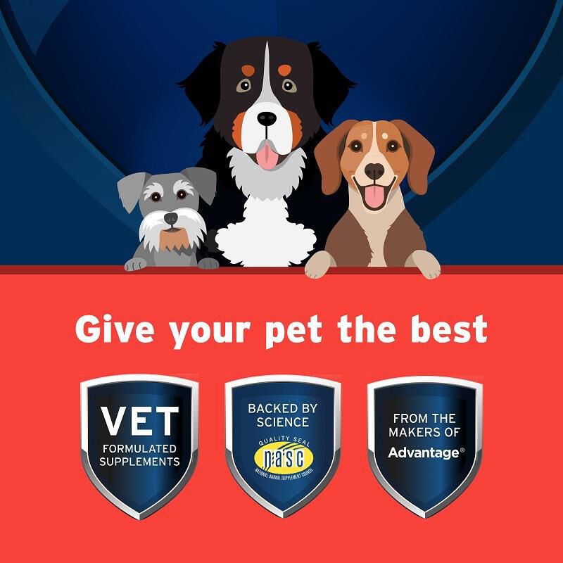 Pet Protect Hip & Joint Synovi G3 Soft Chews for Dogs, 120 Ct.