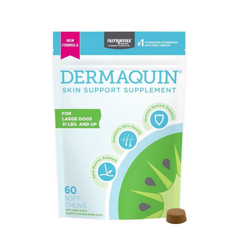 Dog Skin And Coat Supplements | Creams & Capsules | Fetch Pet Rx