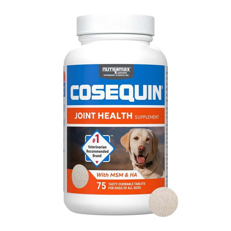 Nutramax Cosequin Maximum Strength Plus MSM and HA for Dogs, 75 Chew Tabs