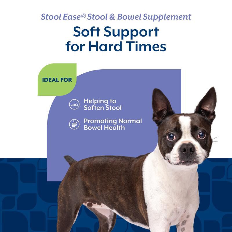 NaturVet Stool Ease for Dogs, 40 Soft Chews