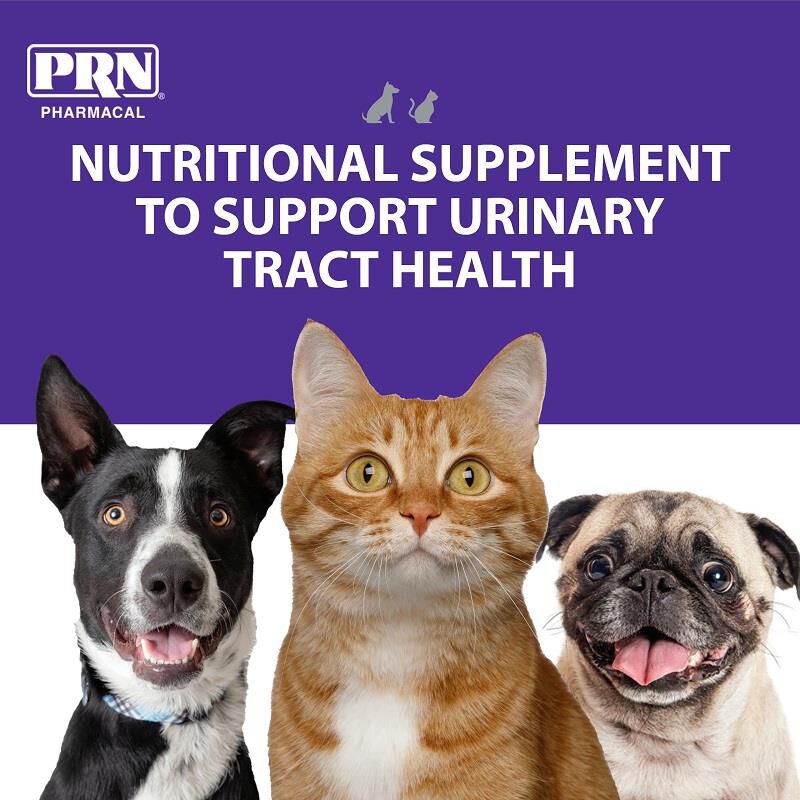 PRN Pharmacal CranMate for Dogs and Cats with UTIs and Incontinence, 60 Chewable Tablets