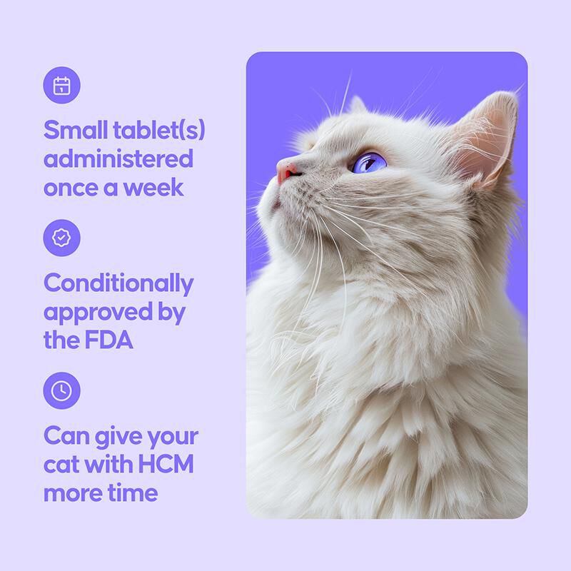 Felycin-CA1 (sirolimus delayed-release tablets) for Cats, 12 Tablets