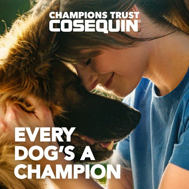 Nutramax Cosequin Joint Supplement for Small Dogs, Max Strength with MSM plus Omega-3's, 45 Soft Chews