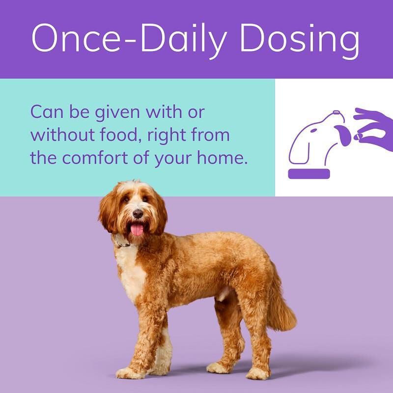 Zenrelia (ilunocitinib) Tablets for Dogs
