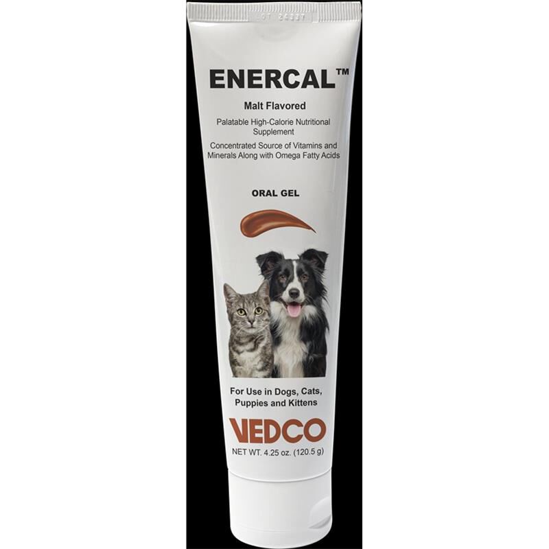 ENERCAL High Calorie Nutritional Oral Gel Supplement for Dogs and Cats, Malt Flavored 4.25 oz
