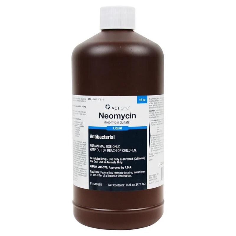 VetOne Neomycin Antibacterial Liquid for Livestock
