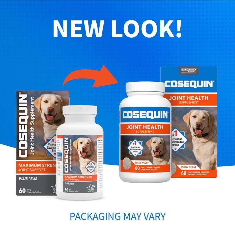 Cosequin Chews Plus MSM 60 Ct