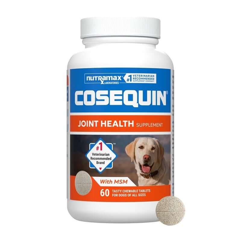 Cosequin Chews Plus MSM 60 Ct