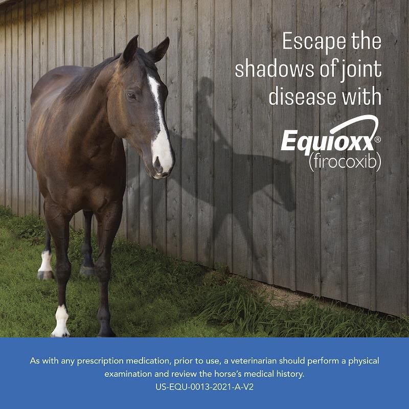 Equioxx Oral Paste