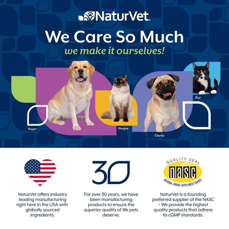 NaturVet Omega Gold Plus Salmon Oil Soft Chews