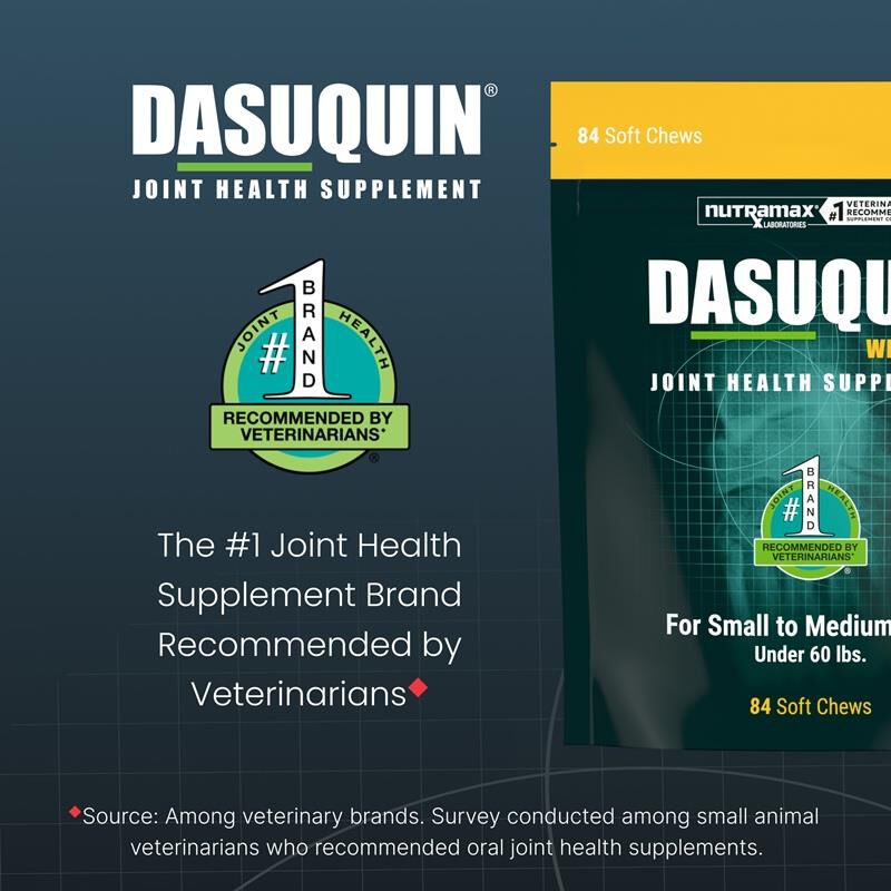 Dasuquin Soft Chews with MSM Small & Med Dogs under 60 lbs 84 Ct.