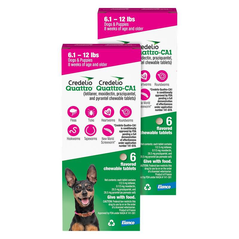 Credelio Quattro Flavored Chewable Tablet for Dogs & Puppies 6.1-12 lbs Pink 12 Month Supply
