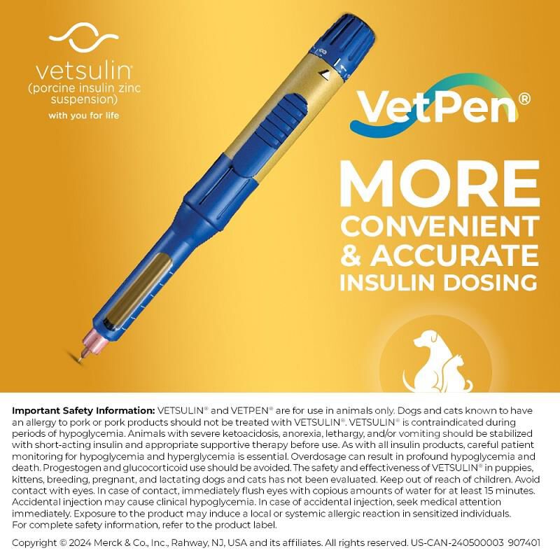 Vetsulin Insulin for Dogs and Cats 10 ml Vial