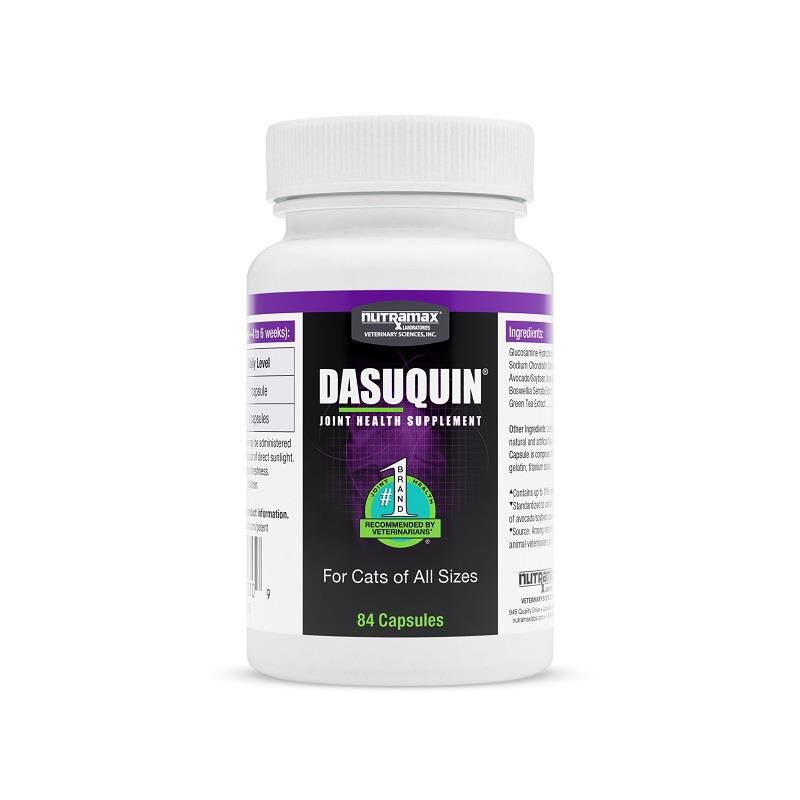 Buy Nutramax Dasuquin for Cats for Joint Health, 84 Capsules