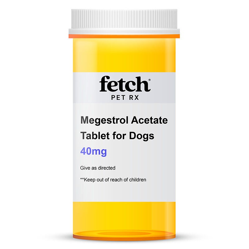 Megestrol Acetate Tablet, 40 mg
