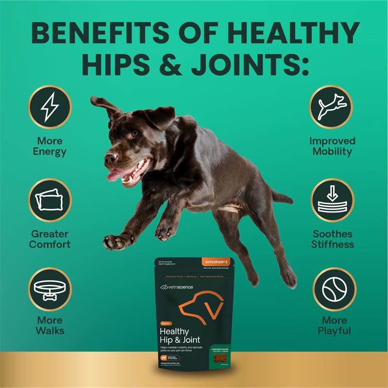 VetriScience Healthy Hip & Joint GlycoFlex 2 Soft Chews for Dogs, 120 ct