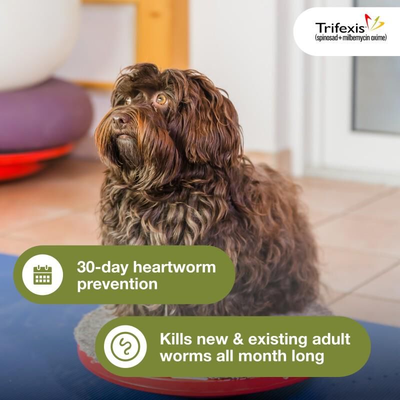 Buy trifexis without vet prescription clearance