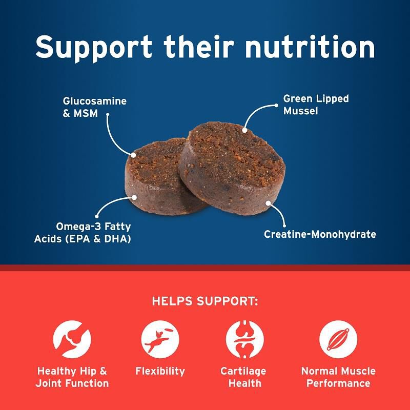 Pet Protect Hip & Joint Synovi G3 Soft Chews for Dogs, 120 Ct.
