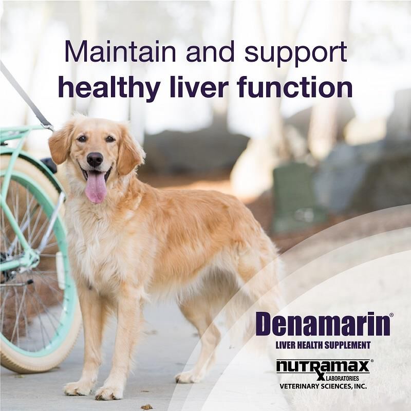 Buy Denamarin Large Dogs 30 Ct. (Bottle) Online | Fetch Pet Rx