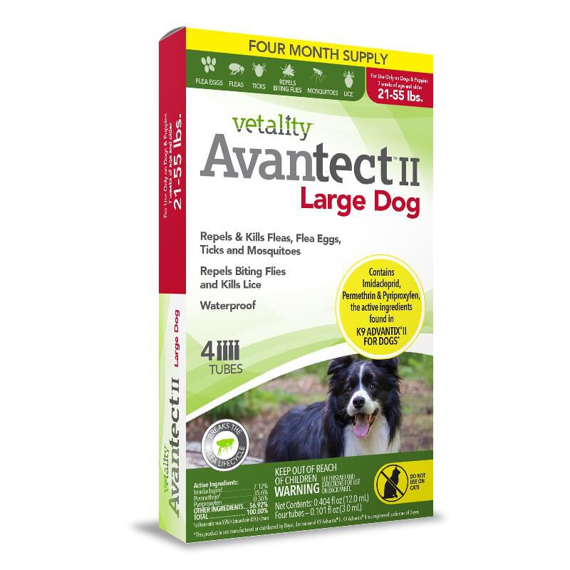 Buy Vetality Avantect II for Dogs Online Fetch Pet Rx