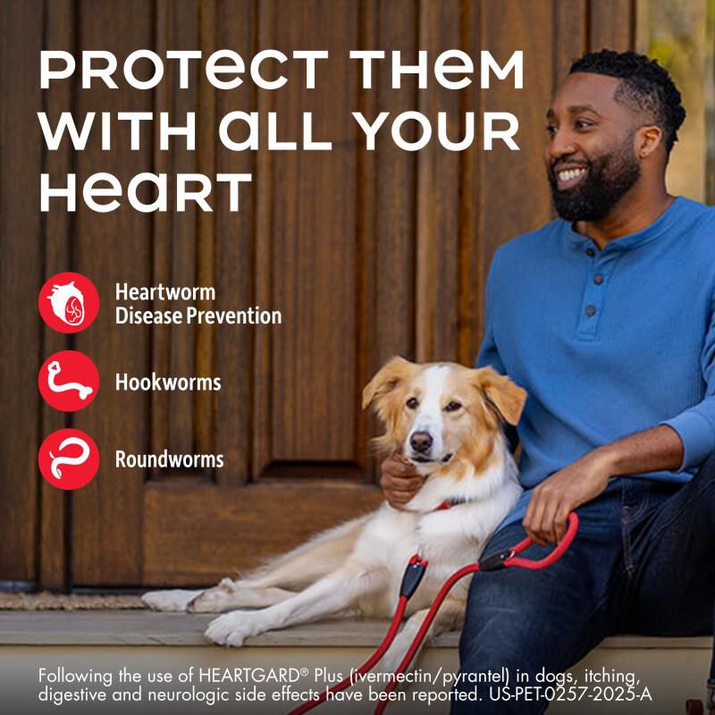 Heartgard Plus Chewable for Dogs 51-100 lbs Brown, 6 Month Supply