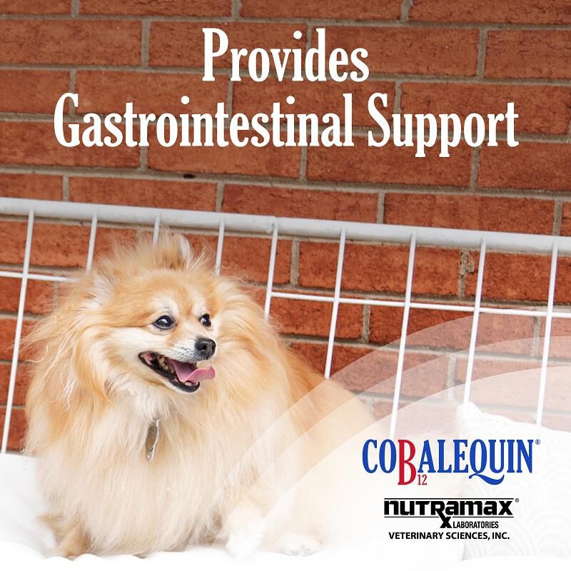 Cobalequin Supplement for Cats and Small Dogs (<22 lbs), 45 Chewable Tablets